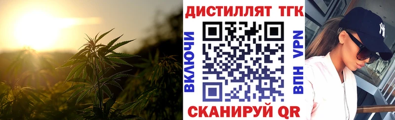 ТГК THC oil  дарнет шоп  Бикин 